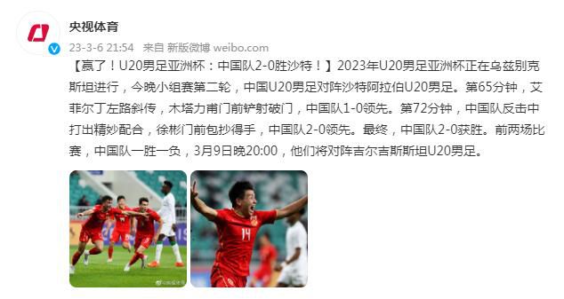 国内精品久久久久久久久野战