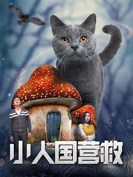 国产在线观看高清视频