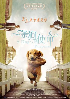 亚洲综合精品成人啪啪