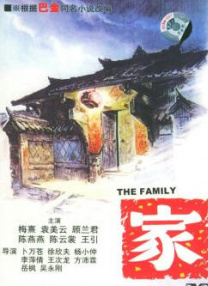 成人国产精品免费观看