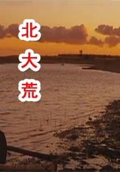 silk是什么面料
