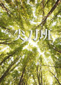 色中色下载