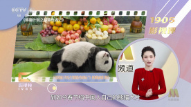 伦理《禁忌9